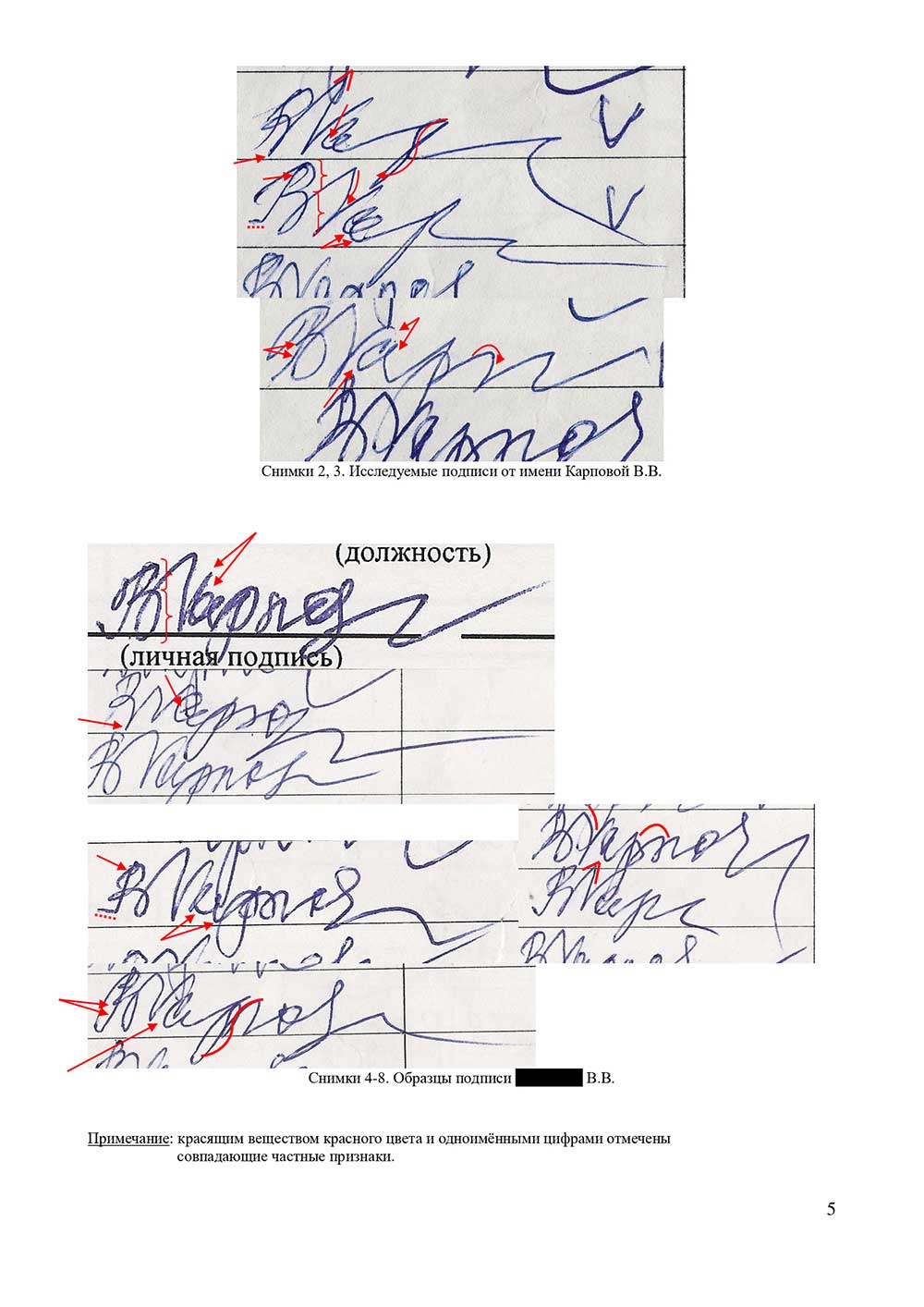 Судебная и досудебная почерковедческая экспертиза документов. Графологическая экспертиза почерка, подписи в Калининграде