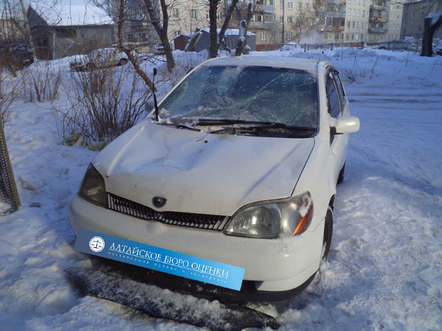 Экспертиза по оценке ущерба автомобилю от падения дерева, схода снега, затопления в Новосибирске
